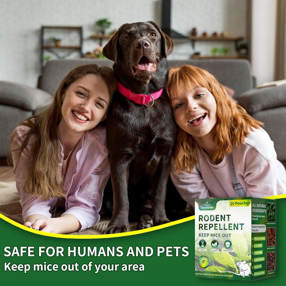 10 Pouches All Natural Rodent Repellent with Peppermint Oil L96168