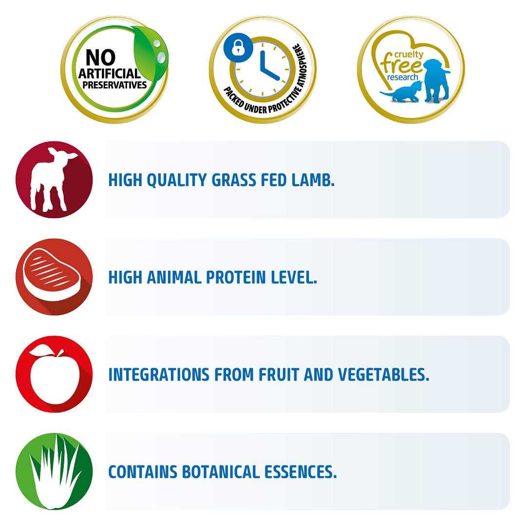 Grain Free Lamb & Blueberry Dry Cat Food Z1551
