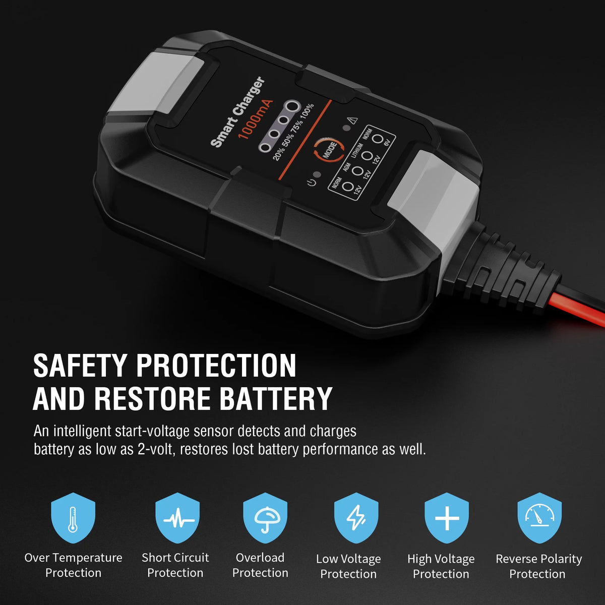 6V/12V 1A Trickle Charger Battery Maintainer Y439