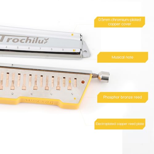 10 Holes Chromatic Harmonica Key of Bb W739005