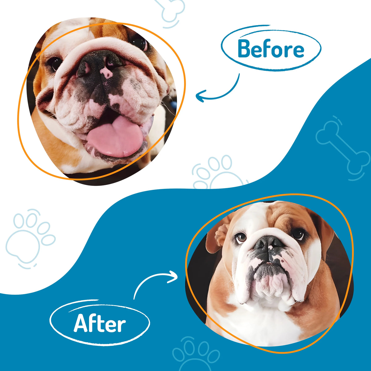 100 Count Dog Wrinkle Wipes for French Bulldog, English Bulldog, Pugs Y69338