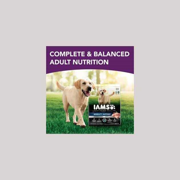 Chicken & Whole Grain Recipe Adult Dry Dog Food V282597