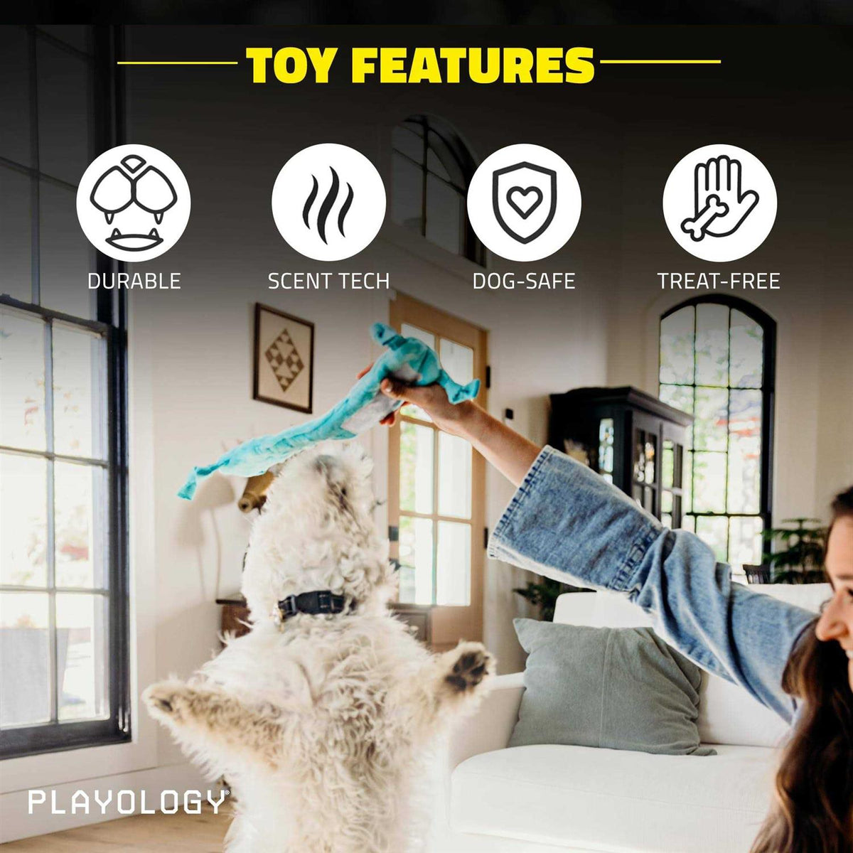 Snail Dog Toy F17960