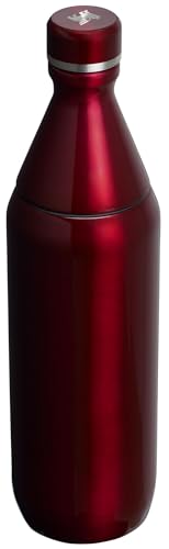 20 oz Insulated Stainless Steel Water Bottle with Twist off Lid Q4599