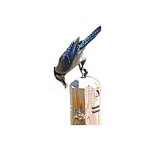 16 Pack Suet Plugs M680