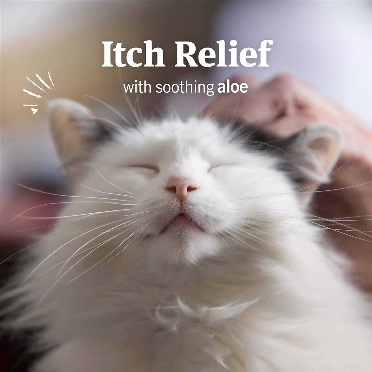 Ear Mite & Tick Treatment for Cats M398