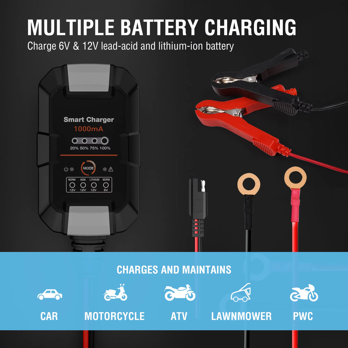 6V/12V 1A Trickle Charger Battery Maintainer Y439