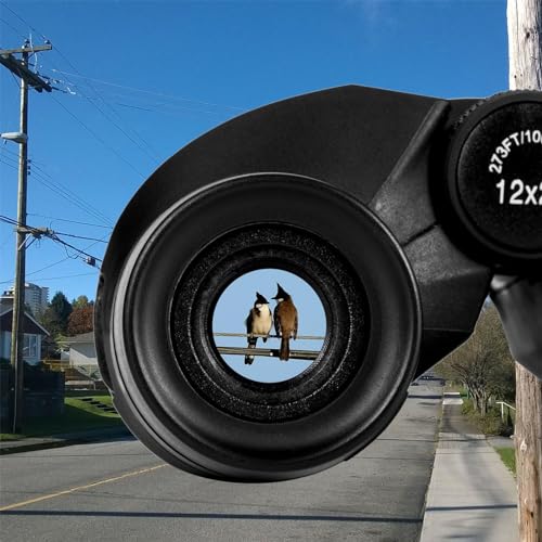 12x25 Compact Waterproof Binoculars K39341