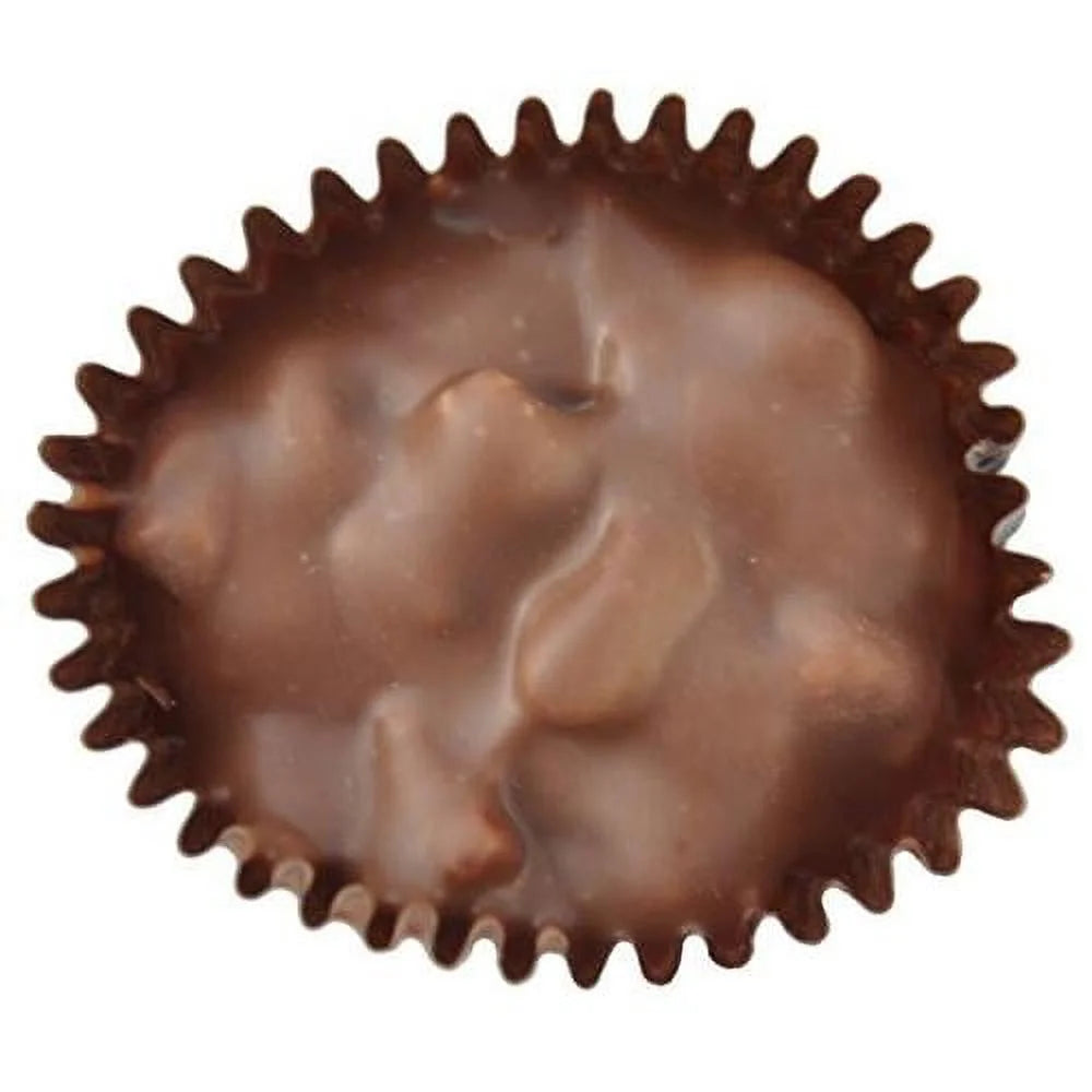 5 Lb Dark Chocolate Pecan Clusters R419148