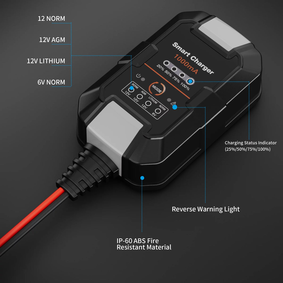 6V/12V 1A Trickle Charger Battery Maintainer Y439